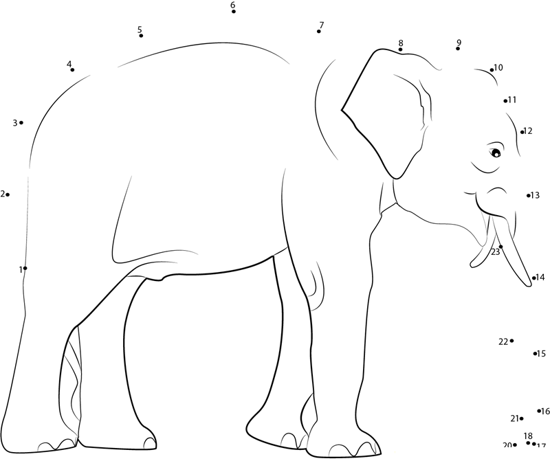 Male Indian Elephant dot to dot worksheets