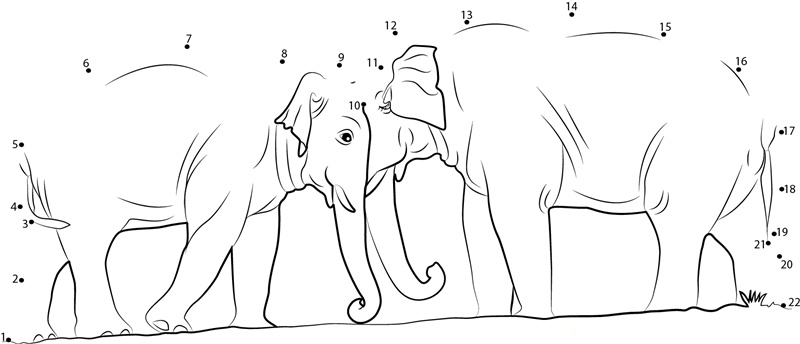 Two Elephants dot to dot worksheets