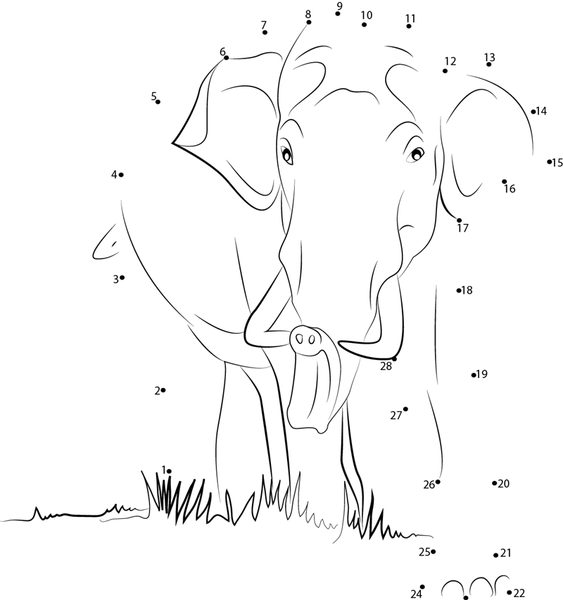 Wild Elephant dot to dot worksheets