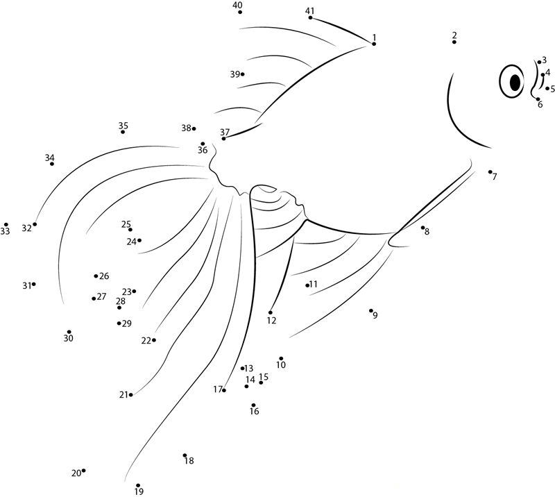 Beautiful Goldfish dot to dot worksheets