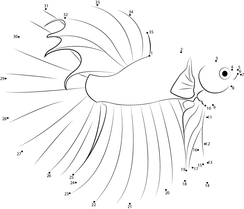 Betta Fish dot to dot worksheets