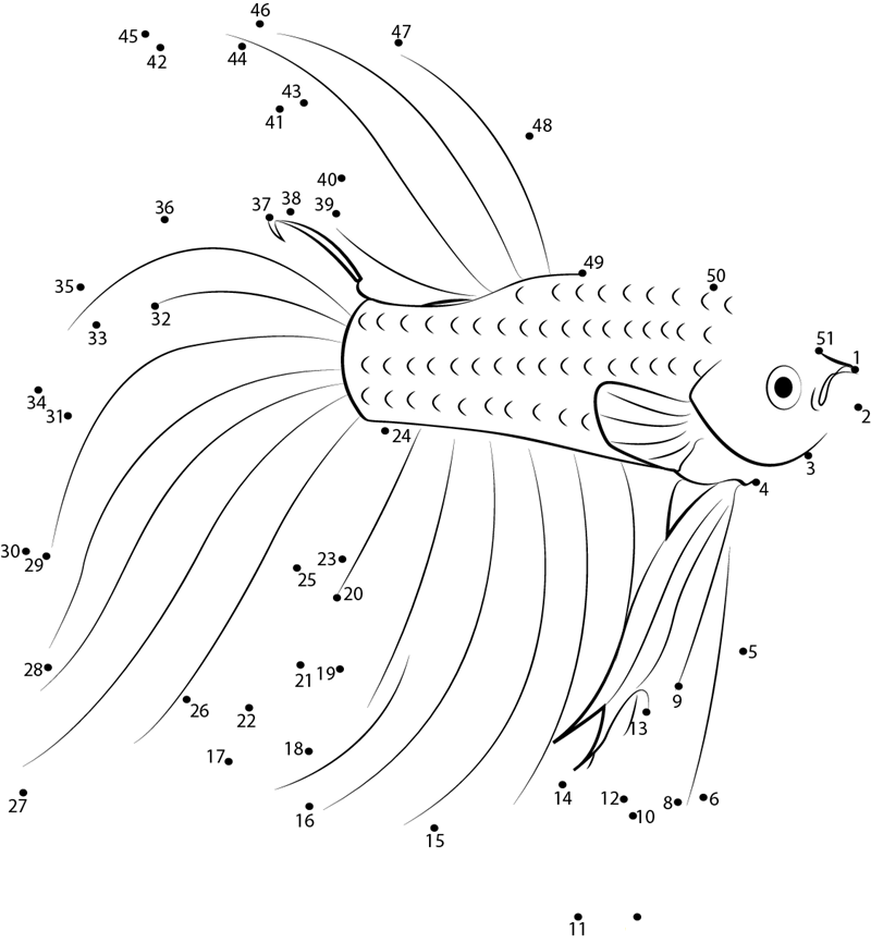 Betta Red Fish dot to dot worksheets