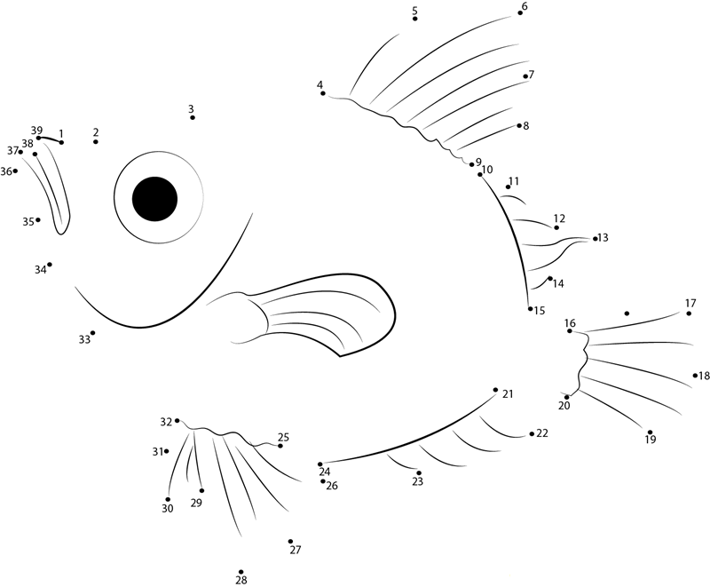 Boar Fish dot to dot worksheets