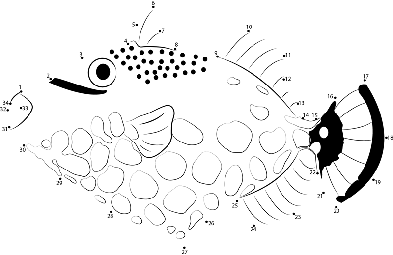 Clown Trigger Fish dot to dot worksheets