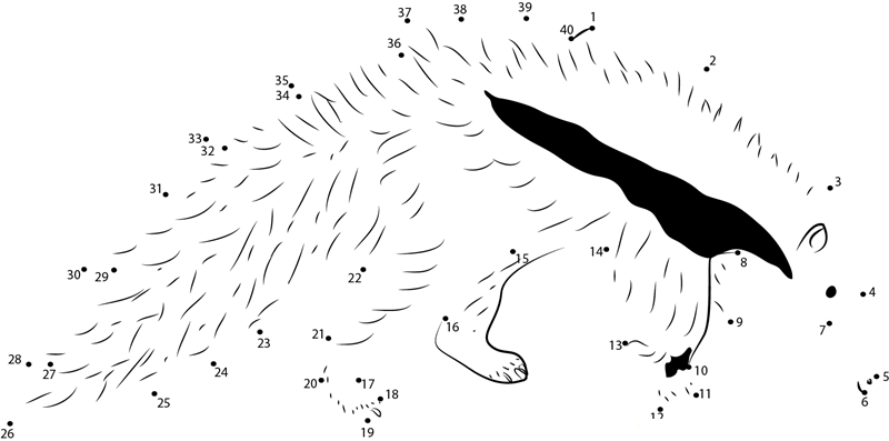 Young Giant Anteater White Black dot to dot worksheets