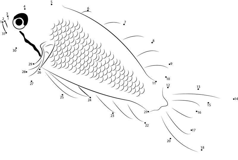 Lyretail Anthias Fish dot to dot worksheets