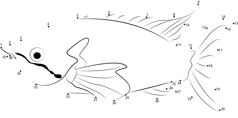 Rainbow Fish dot to dot worksheets