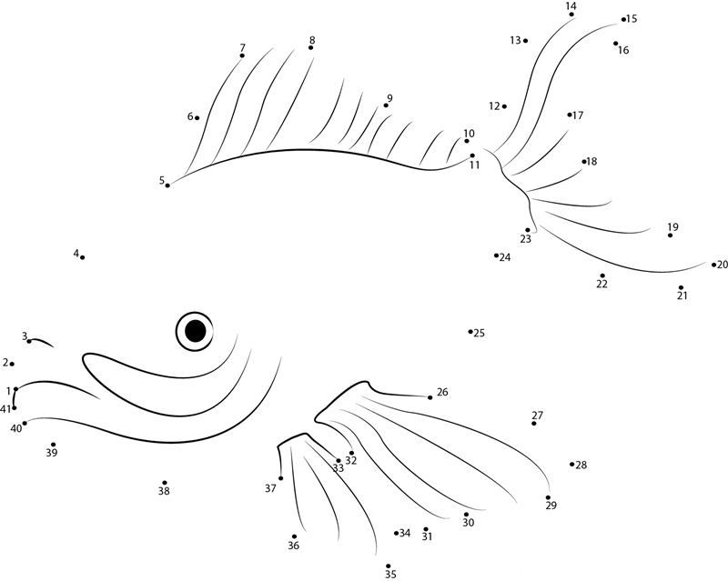 Sea Fish dot to dot worksheets