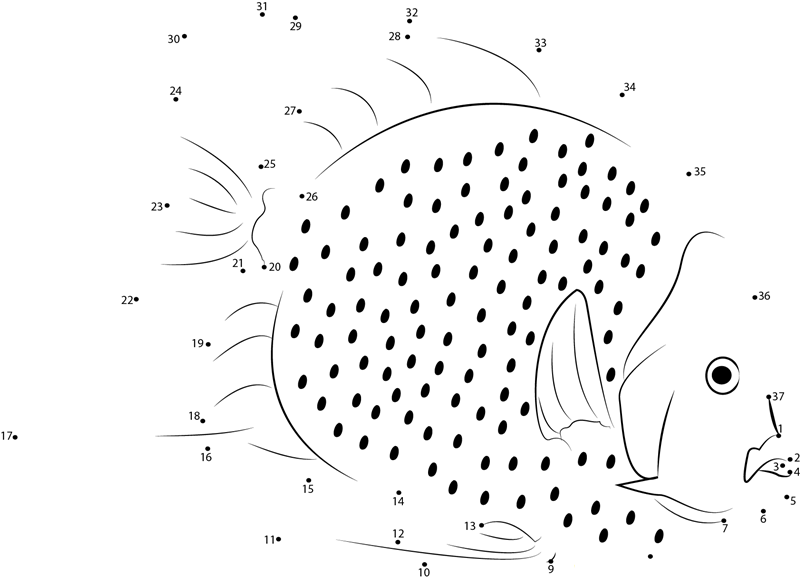 White Fish dot to dot worksheets