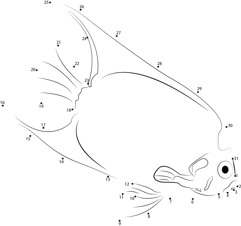 Yellow Mask Angelfish dot to dot worksheets