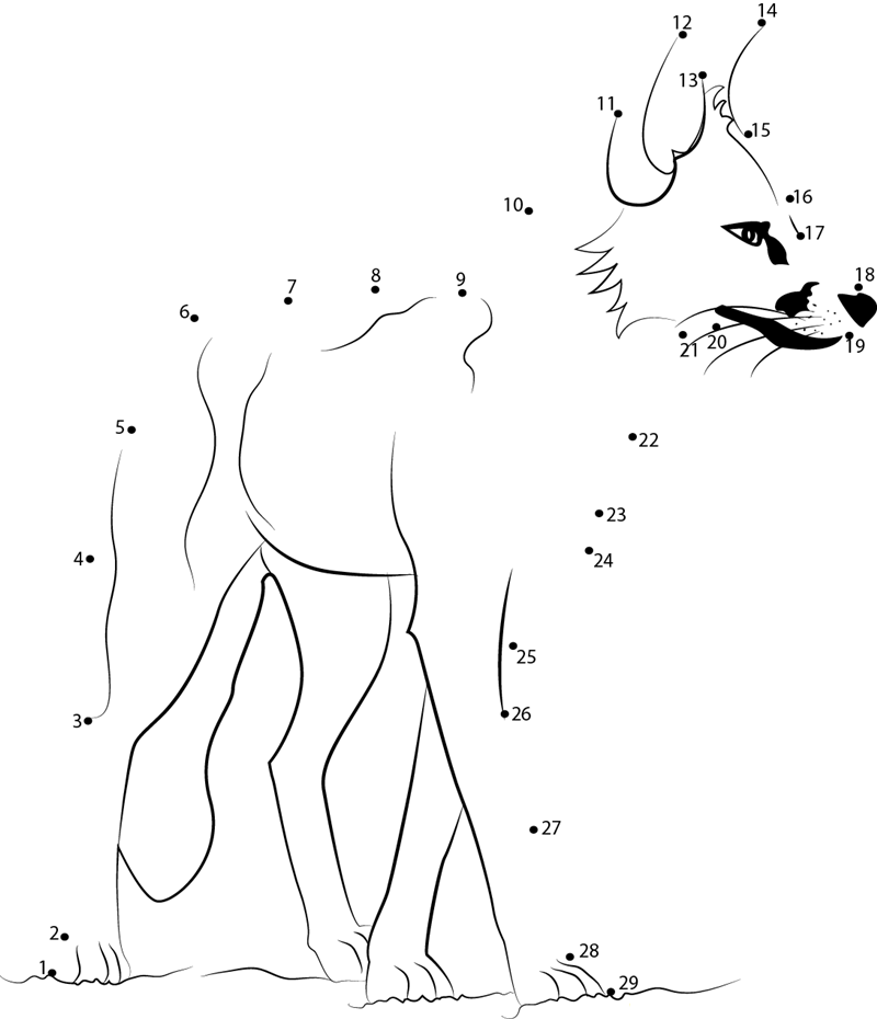 Adult Fox dot to dot worksheets