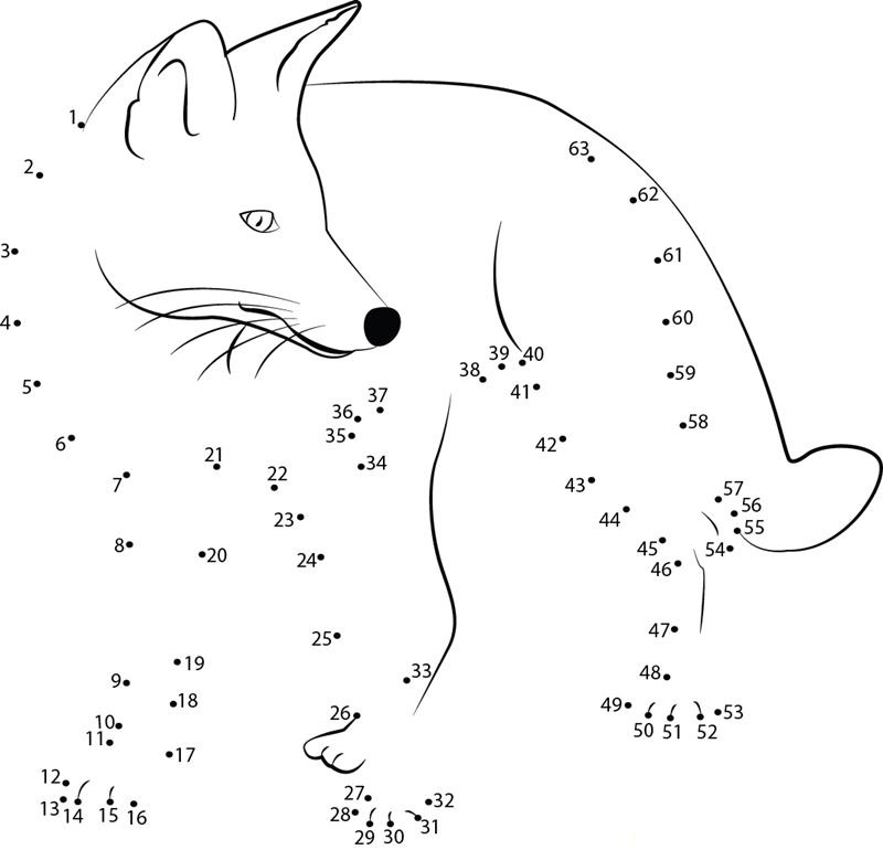 Angry Fox printable dot to dot worksheet