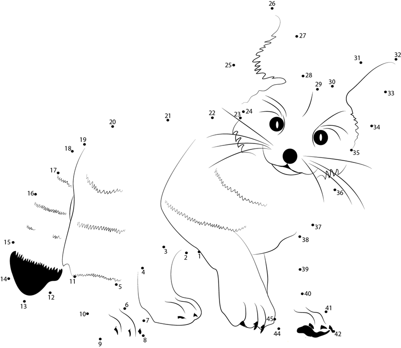 Fennec Fox dot to dot worksheets