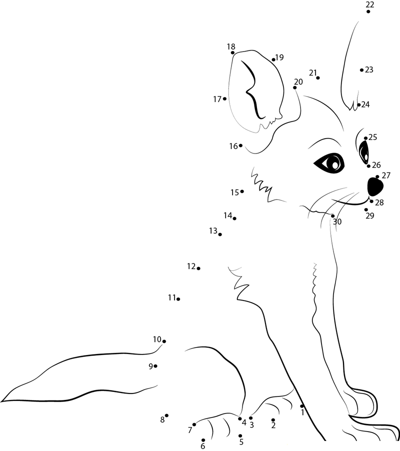 Fennec Fox Baby dot to dot worksheets