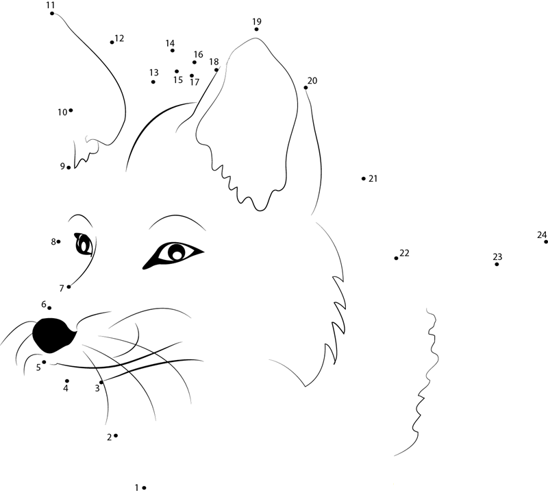 Fox Face dot to dot worksheets