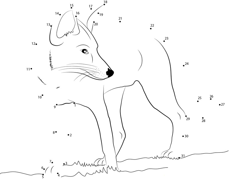 Fox Looking dot to dot worksheets