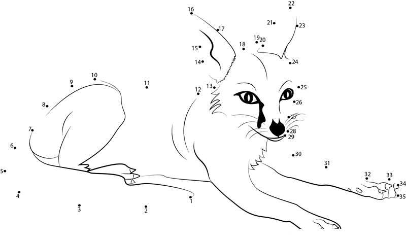 Fox Relaxing dot to dot worksheets