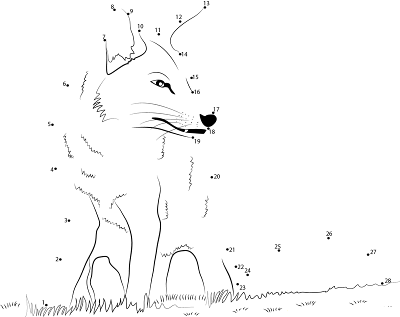 Fox Sitting printable dot to dot worksheet