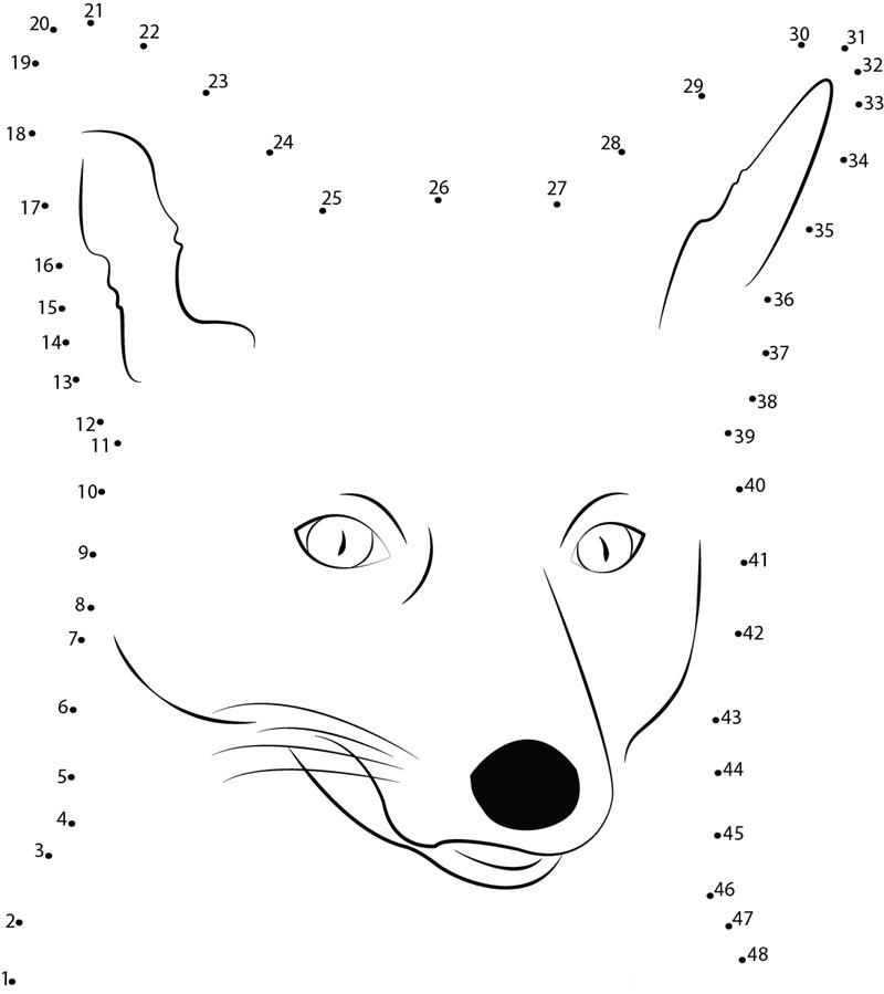 Sweet Face Of Fox dot to dot worksheets