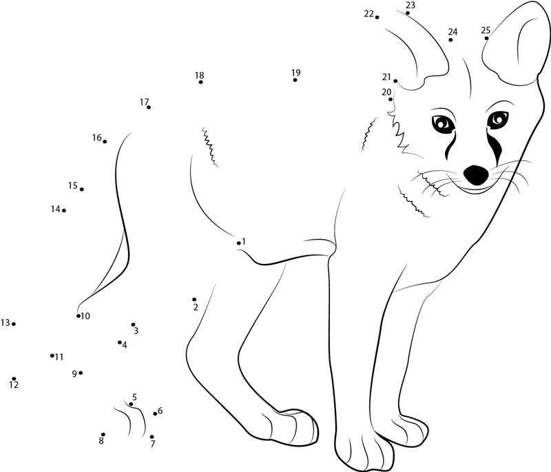 Young Fox dot to dot worksheets