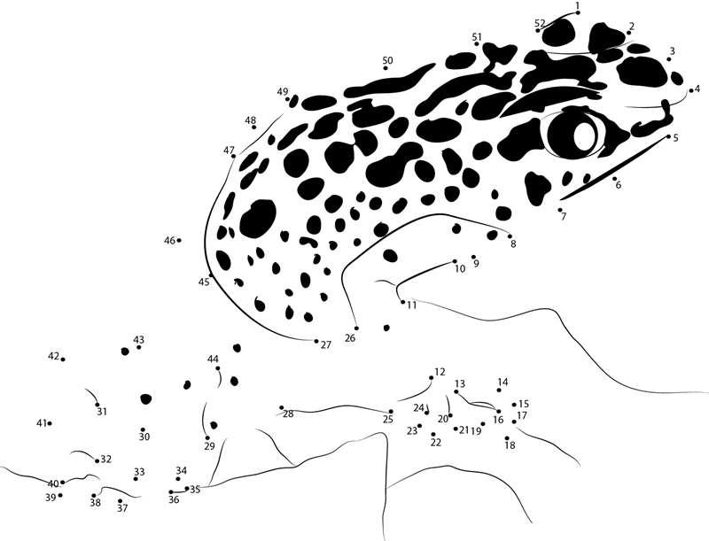 Blue Poison Dart Frog printable dot to dot worksheet