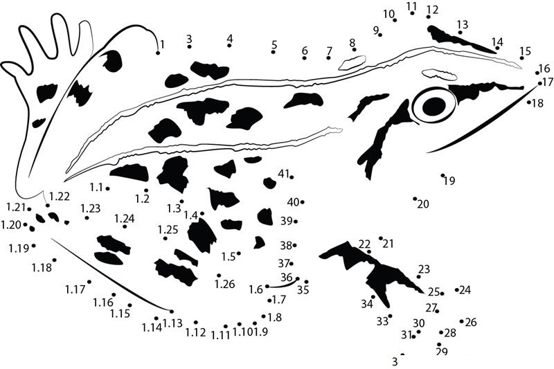 Frog dot to dot worksheets