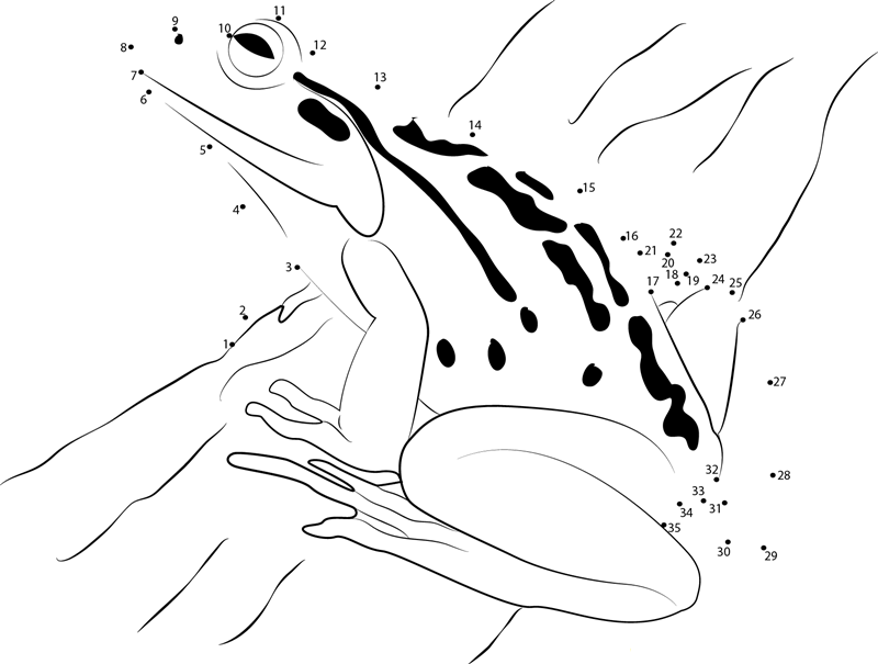 Frog printable dot to dot worksheet