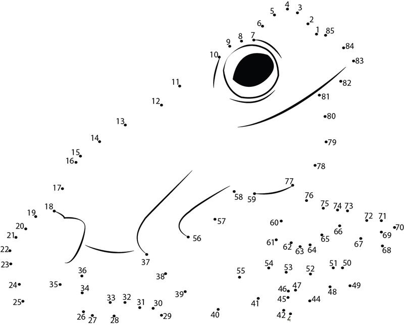 Frog Dot Pages 1 printable dot to dot worksheet