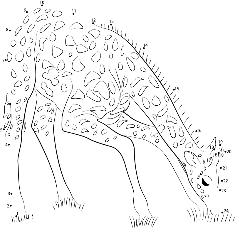 Giraffe Eating Grass printable dot to dot worksheet