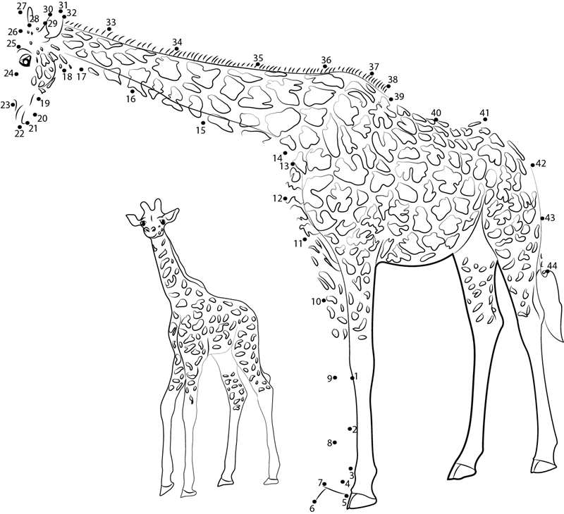 Giraffe With Baby dot to dot worksheets