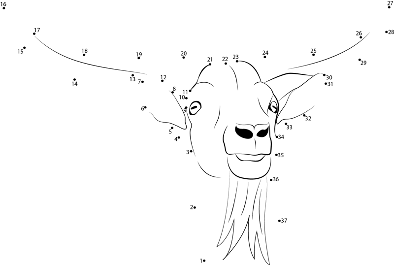 Horny Goat printable dot to dot worksheet