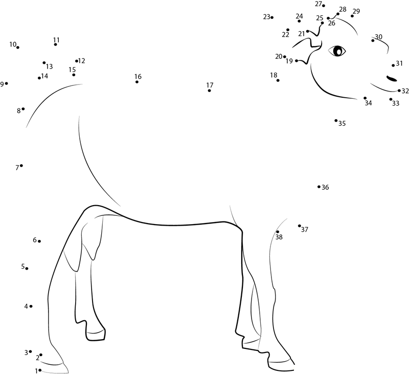 Indian Goat dot to dot worksheets