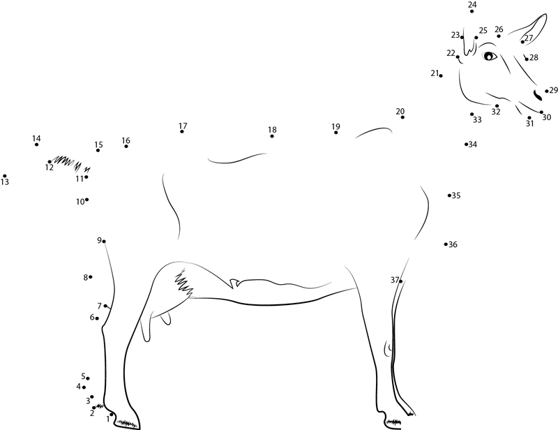 Saanen Breeds Of Goat dot to dot worksheets