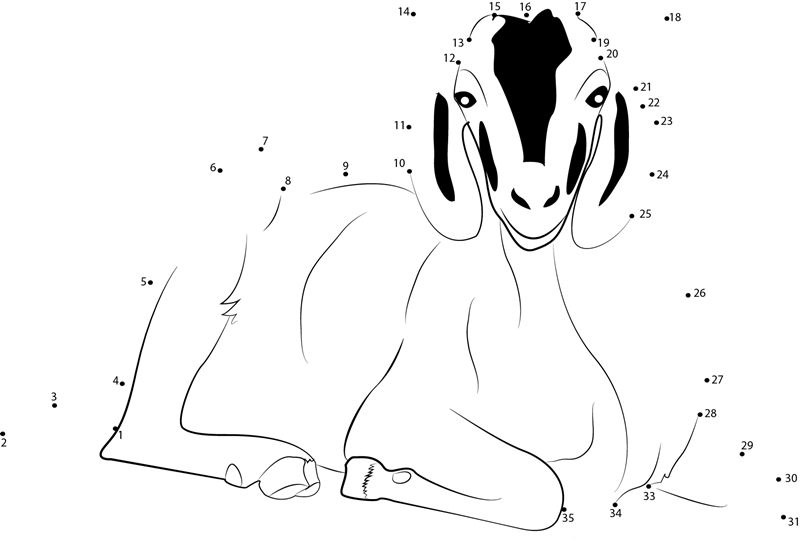 Sitting Goat dot to dot worksheets