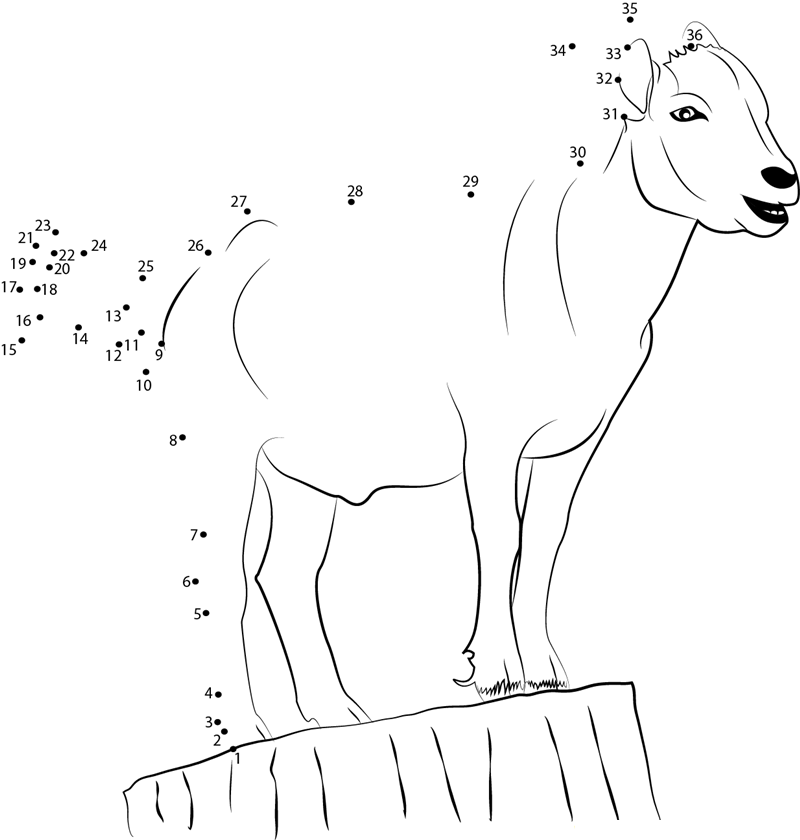 Standing Goat printable dot to dot worksheet