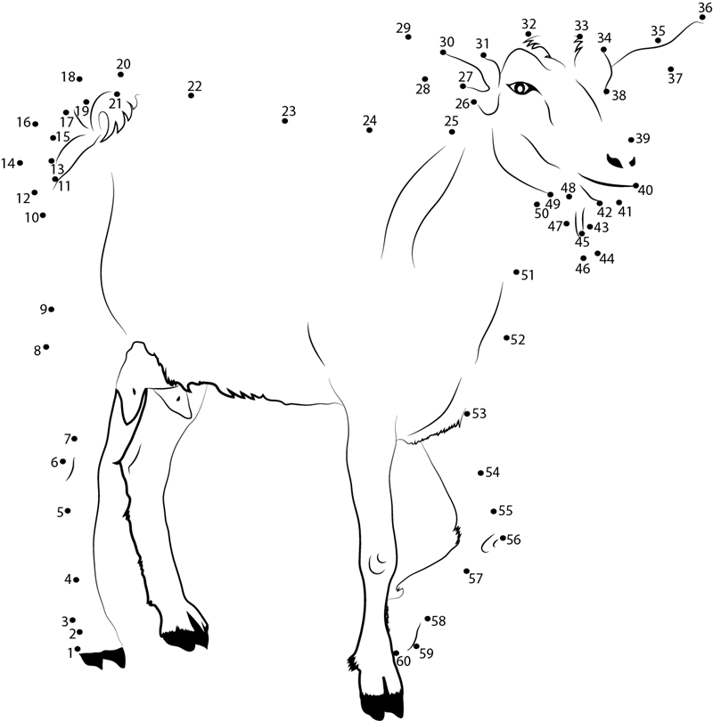 White Goat printable dot to dot worksheet