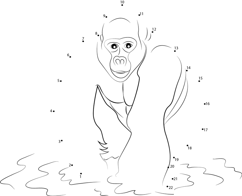 Gorilla In Water dot to dot worksheets