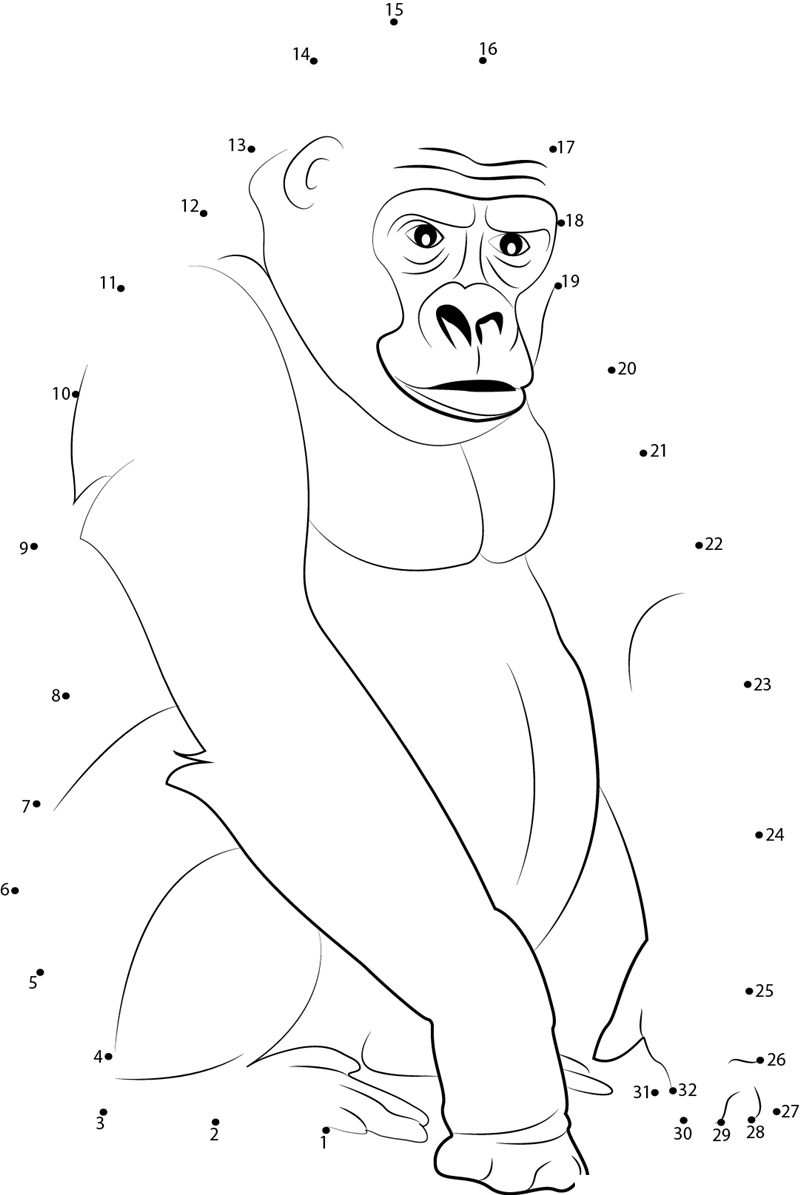 Male Silverback Gorilla printable dot to dot worksheet