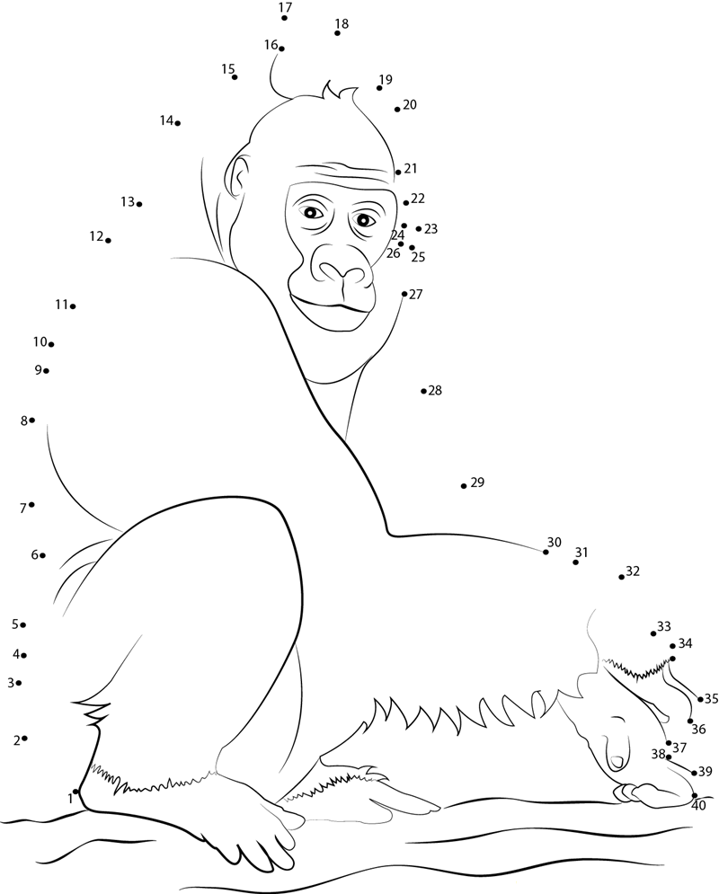 Setting Western Lowland Gorilla printable dot to dot worksheet