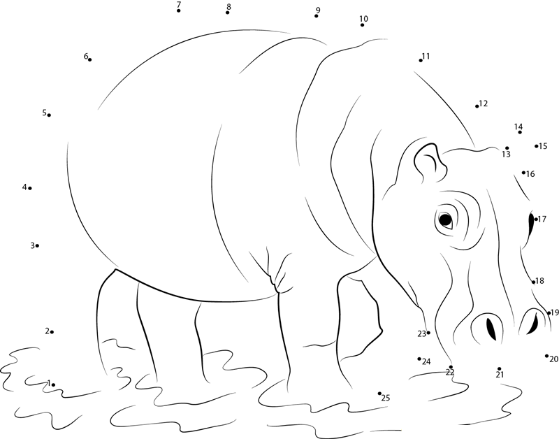 Hippopotamus In Water dot to dot worksheets