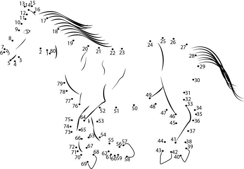 Horse Going For Walk dot to dot worksheets