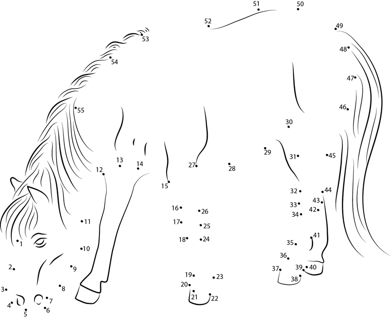 Nova The Miniature Horse dot to dot worksheets