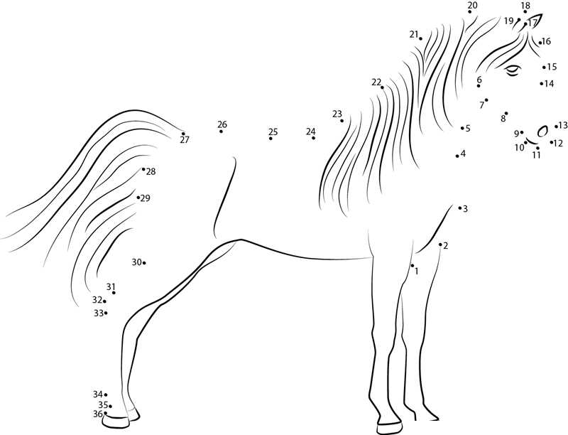 Standding Horse printable dot to dot worksheet