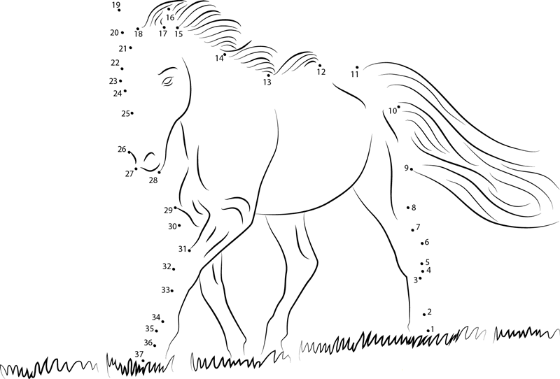 White Horse printable dot to dot worksheet