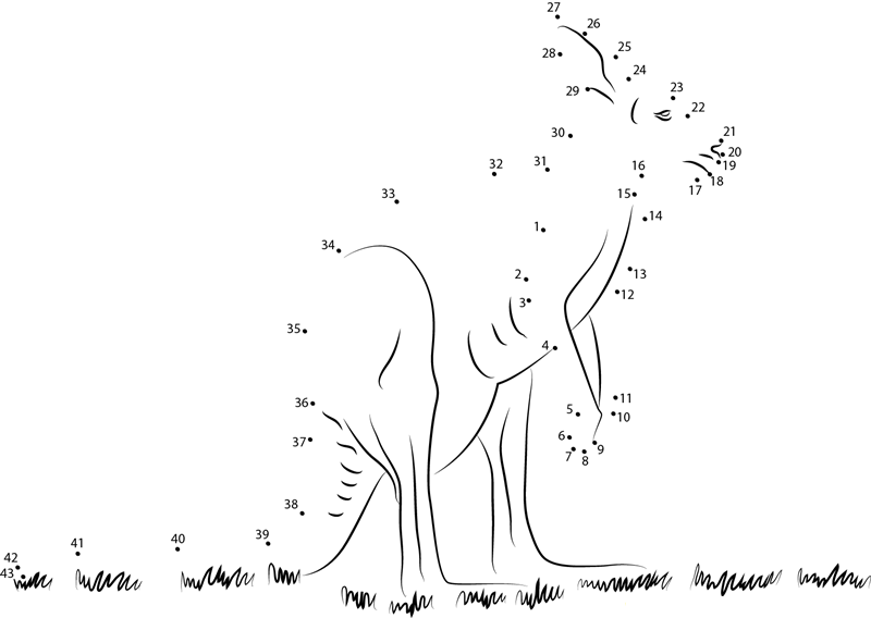 Kangaroo dot to dot worksheets