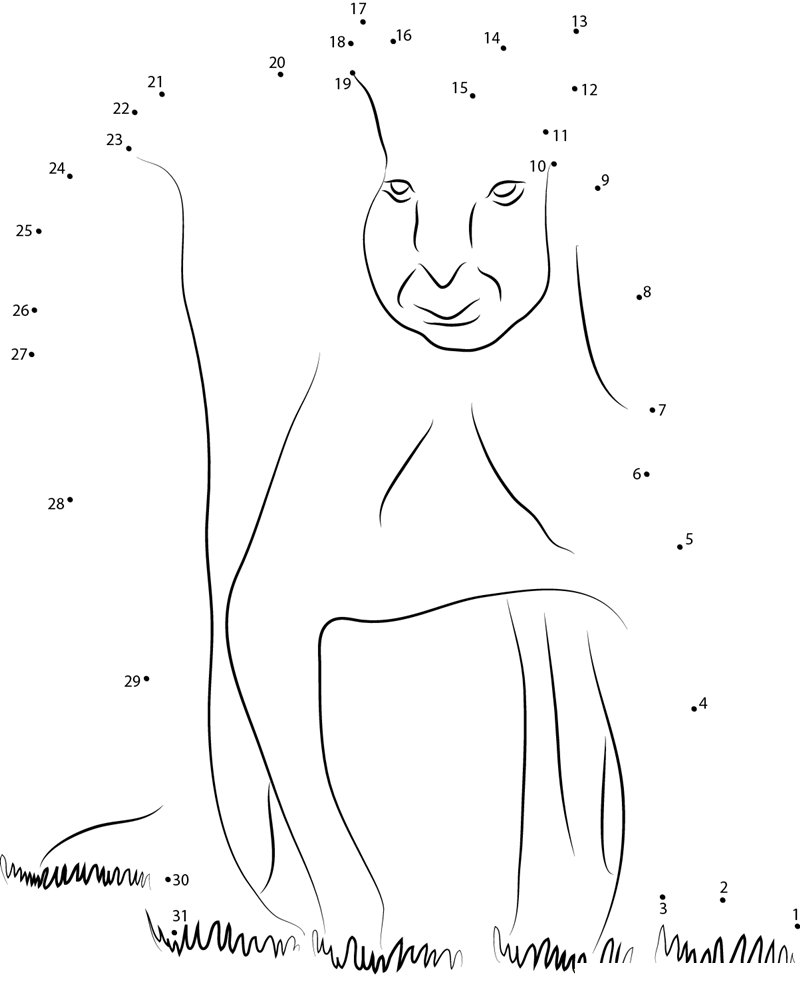 Kangaroo At Looking printable dot to dot worksheet