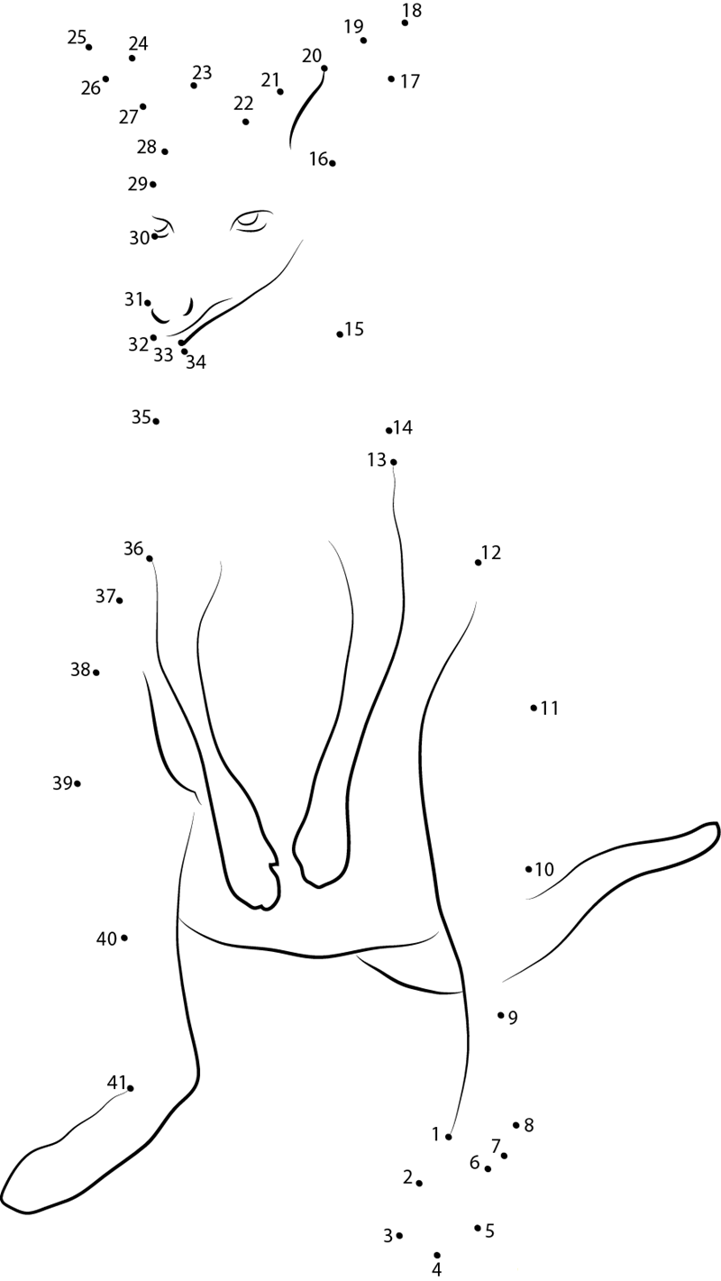 Kangaroo At Up See printable dot to dot worksheet