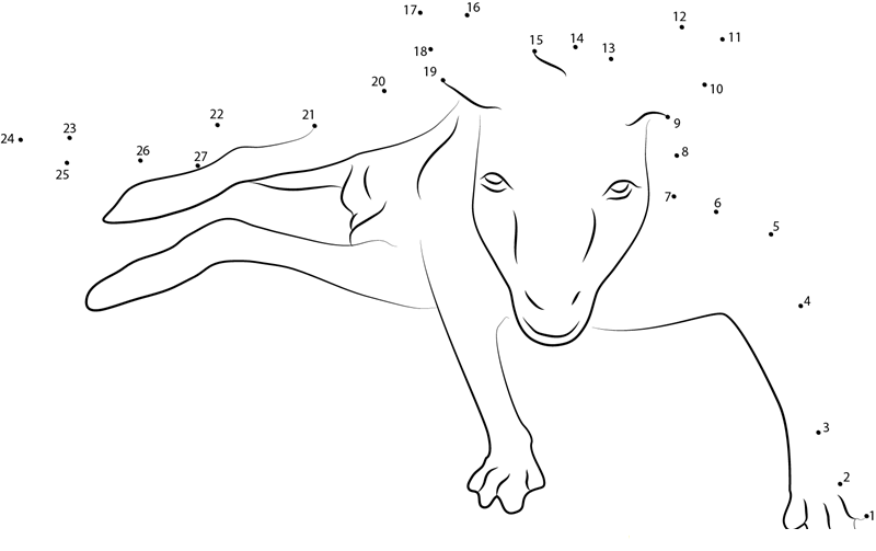 Kangaroo Face dot to dot worksheets