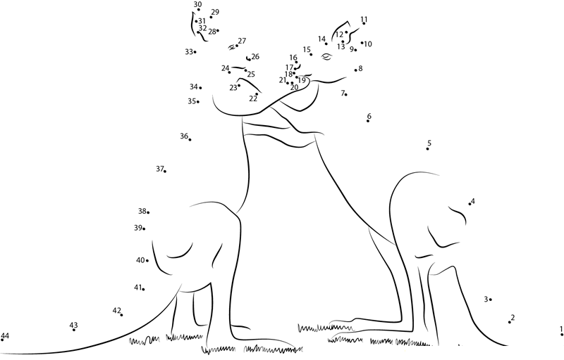 Kangaroo Play Fighting printable dot to dot worksheet