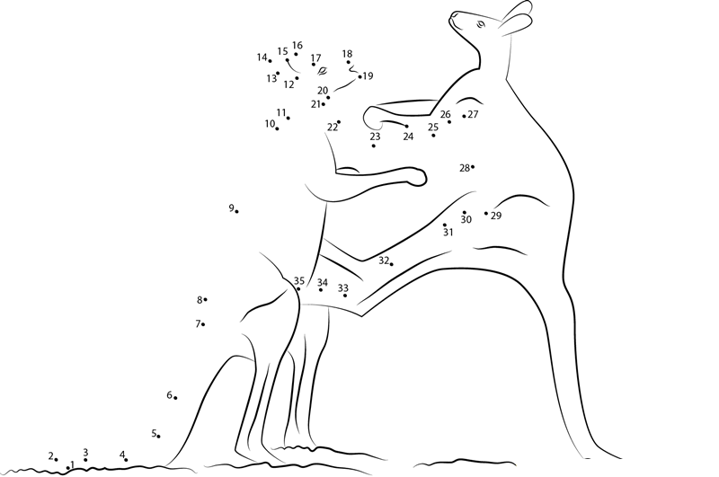 Red Kangaroo Adult Males Fighting dot to dot worksheets